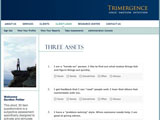 Trimergence